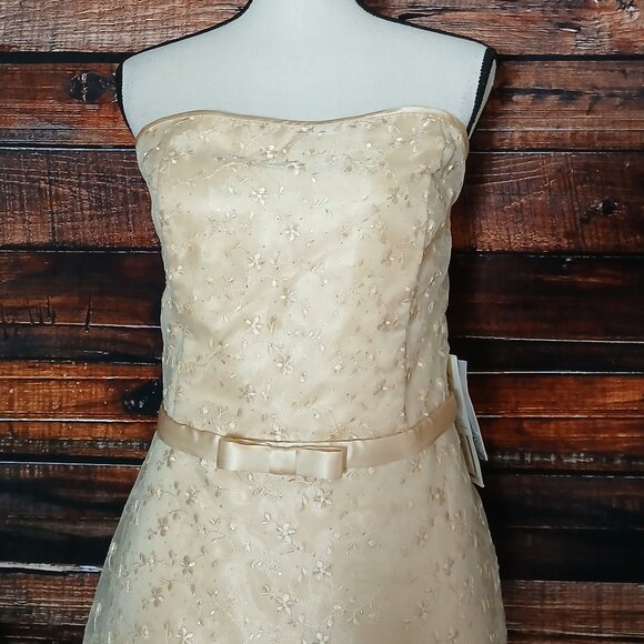 NWT Jessica McClintock Vintage Dress 14 Strapless Maxi Chiffon Peach Formal - Picture 3 of 13